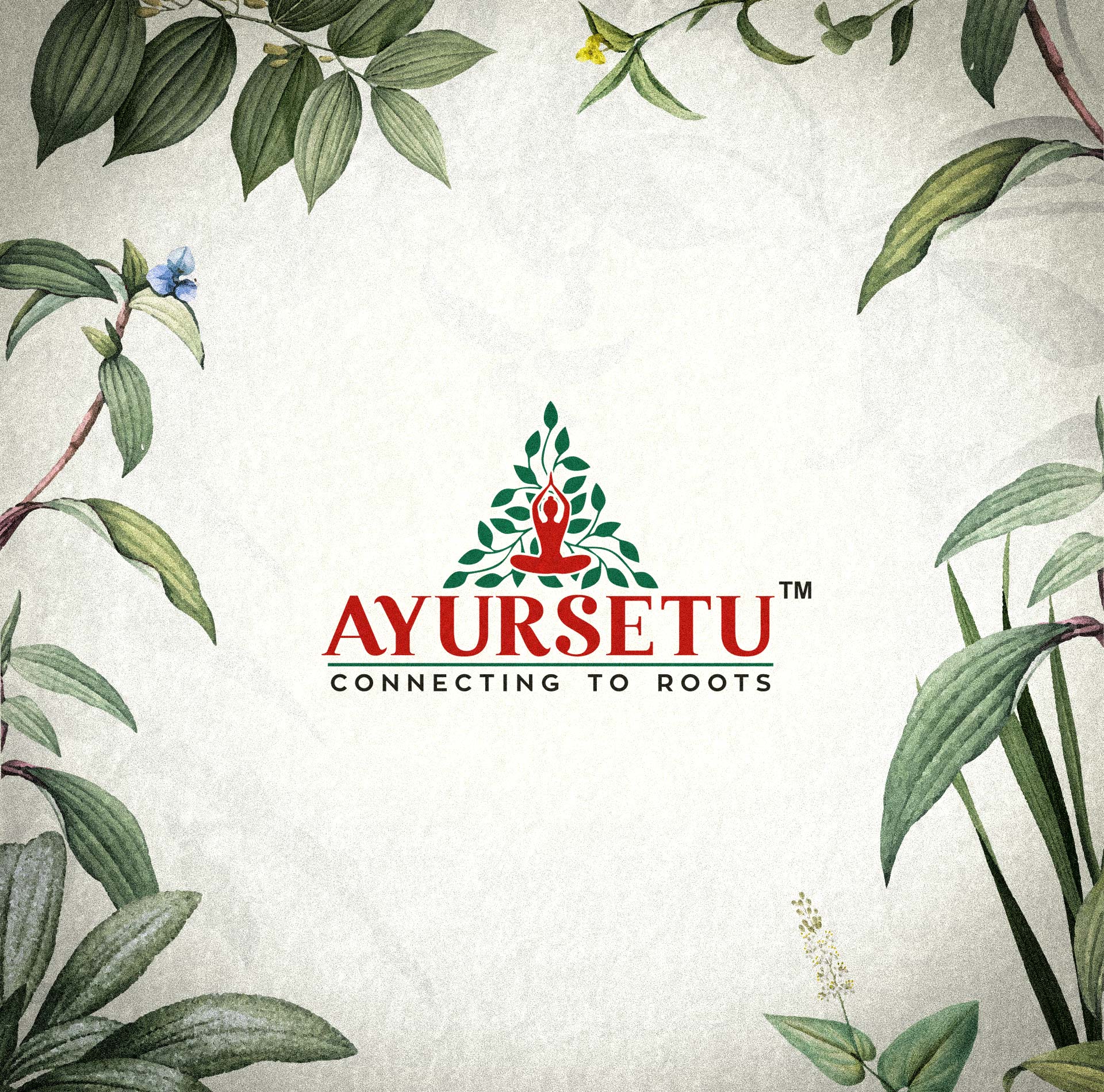 Ayursetu